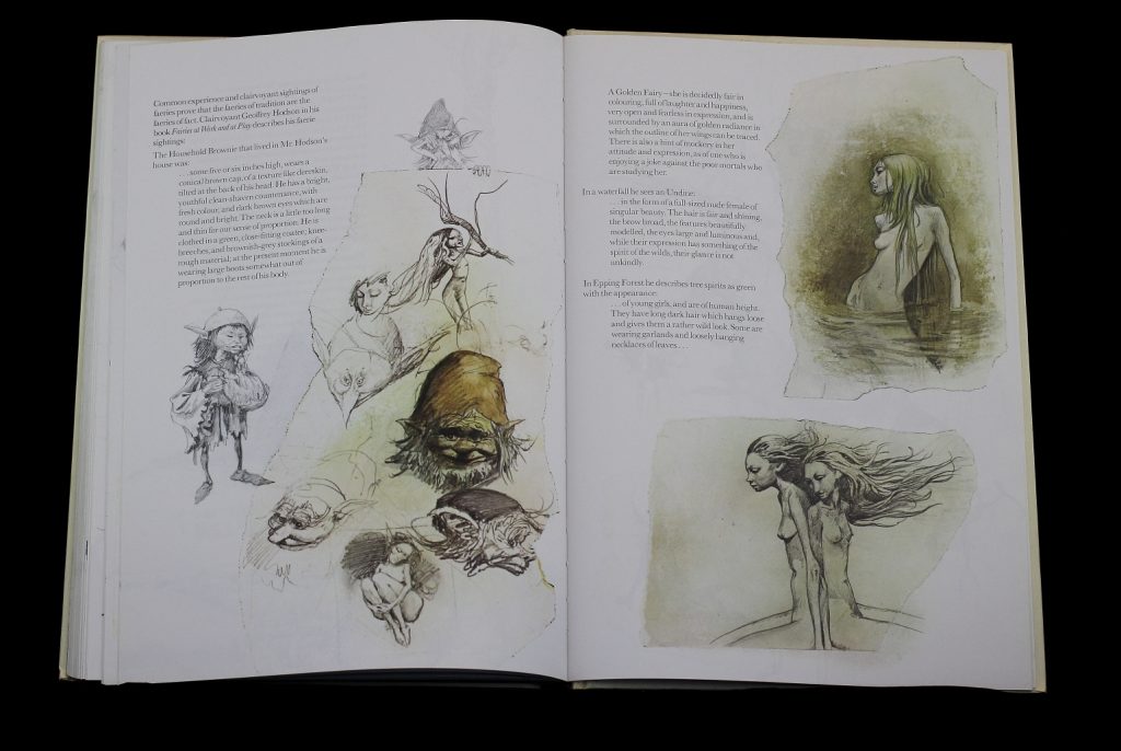 Fantasy Art Book Review: Faeries By Brian Froud. - Michael Palmer-cryle